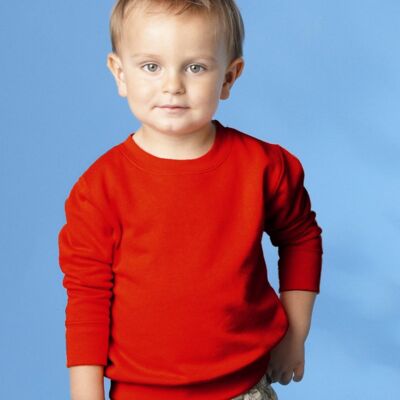 Toddler/Juvy Crewneck Sweatshirt Thumbnail